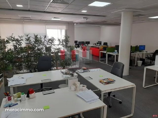 Villa moderne a usage professionnel aménagé de 820 m2 quartier palmier a la location — 5