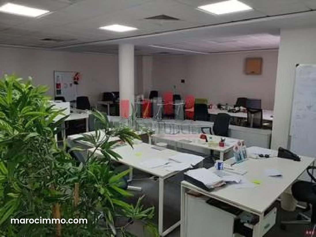 820 m² Professional Villa, Palmier, Casablanca — Casablanca