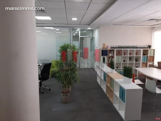 Villa moderne a usage professionnel aménagé de 820 m2 quartier palmier a la location — 4