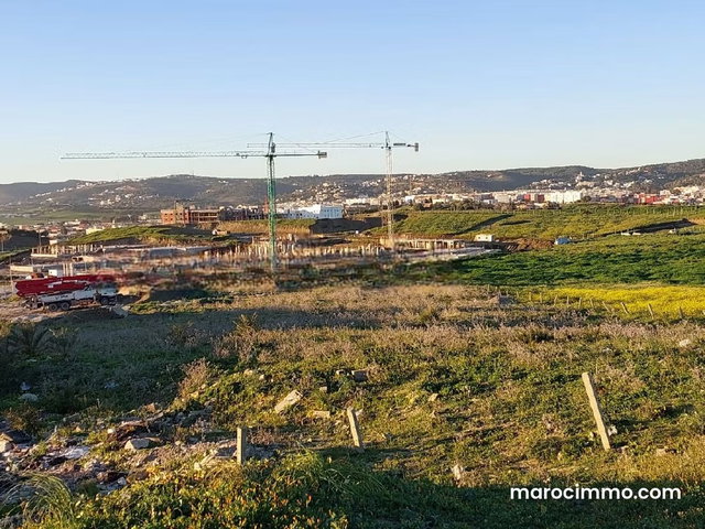 Terrain Industriel de 3 Ha à Vendre à Gzenaya — 4