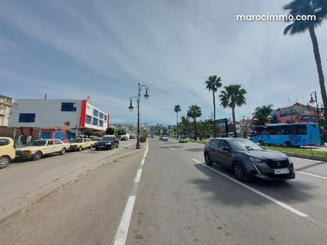 Terrain 5000 m2 Zon immeuble à vendre à Riad Tetouan — 3