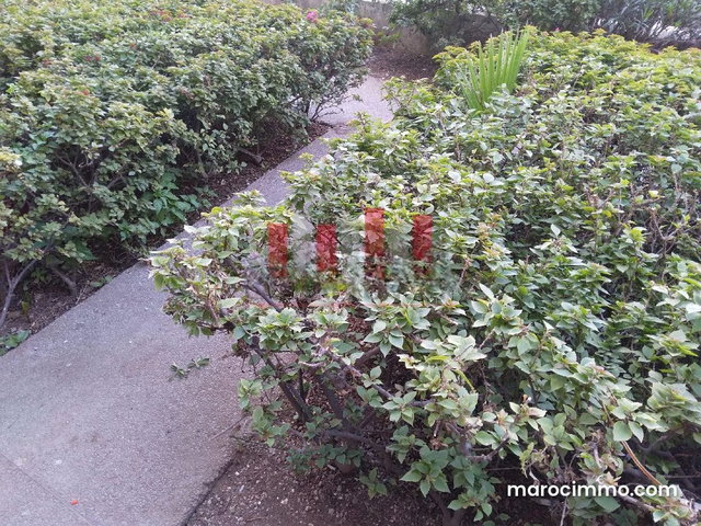 Magnifique appartement neuf a louer meuble – centre ville, casablanca — 2