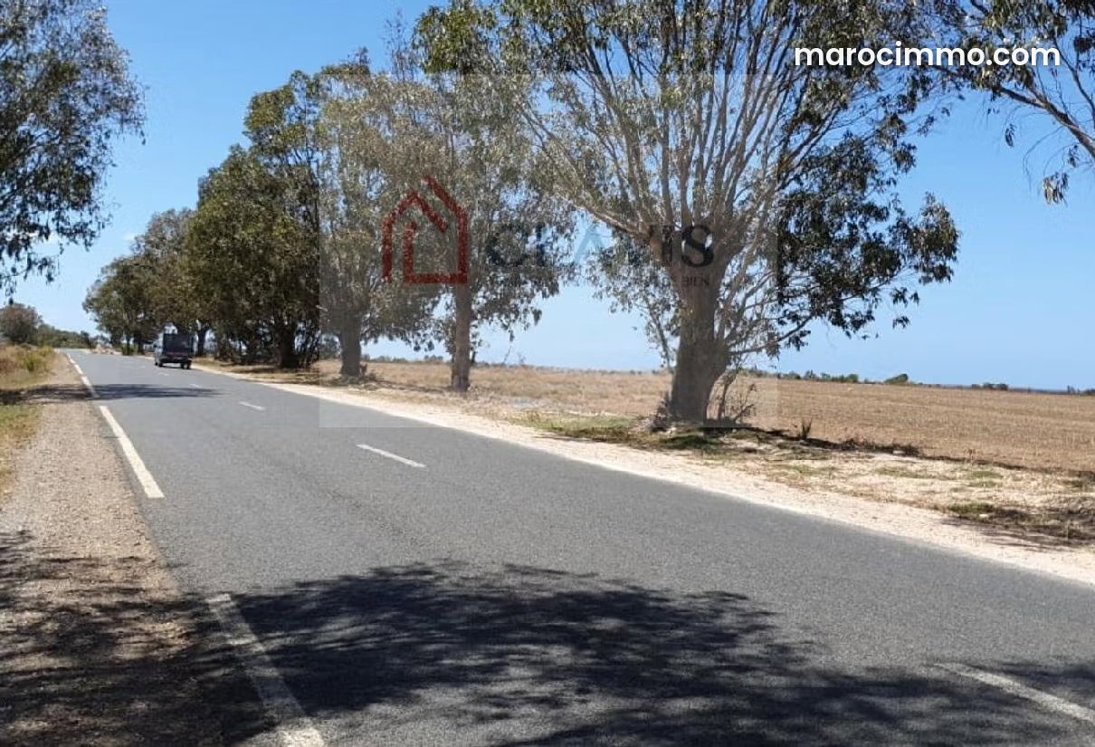 Terrain agricole 2,41 ha en bord de route à Bir Jdid — Bir Jdid