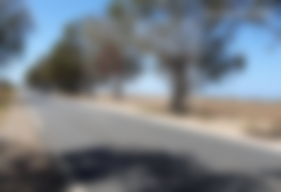 أرض فلاحية واسعة للبيع على الطريق الرئيسية ببئر الجديد