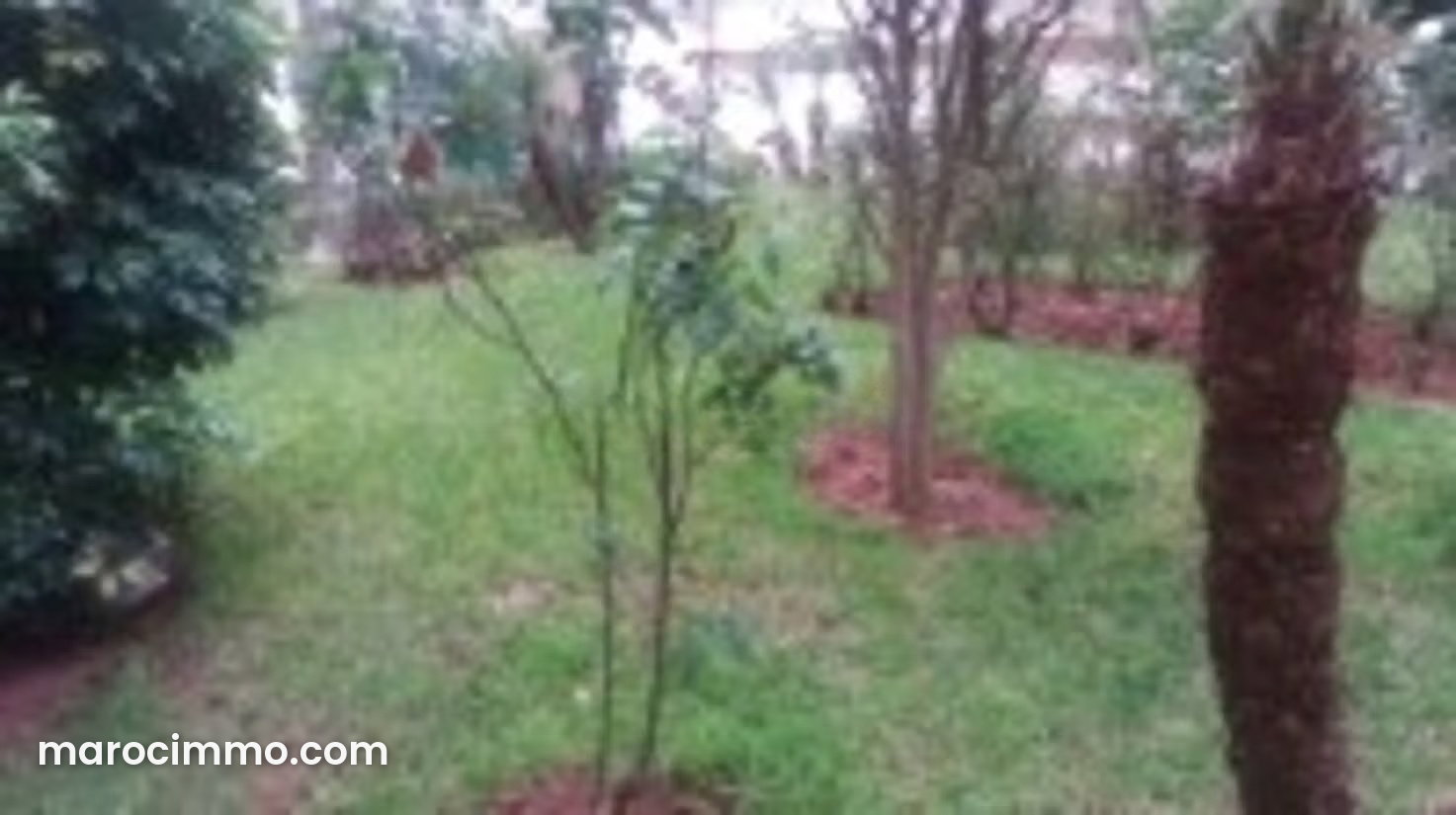 Villa 450 m² sur terrain rectangulaire, C.I.L, Casablanca — Casablanca