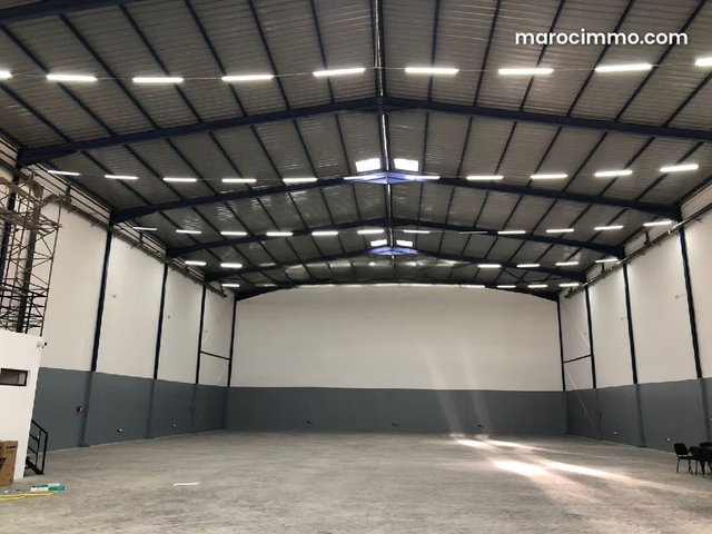 BEL ENTREPOT NEUF à louer, 1124 m2 au sol, SAPINO — 3