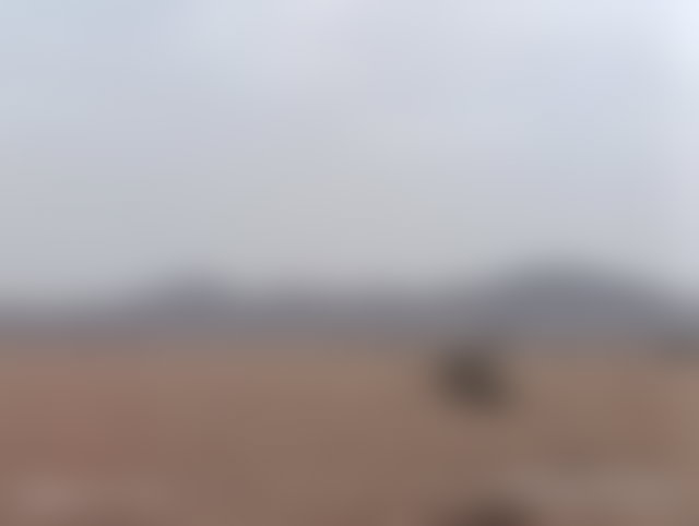 أرض فلاحية شاسعة للبيع بطريق الدار البيضاء في مراكش — 2