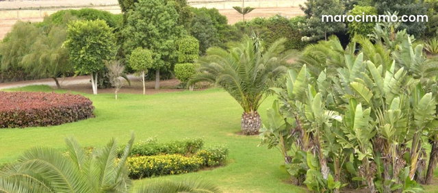Joli villa avec piscine a vendre 18465m² — 4