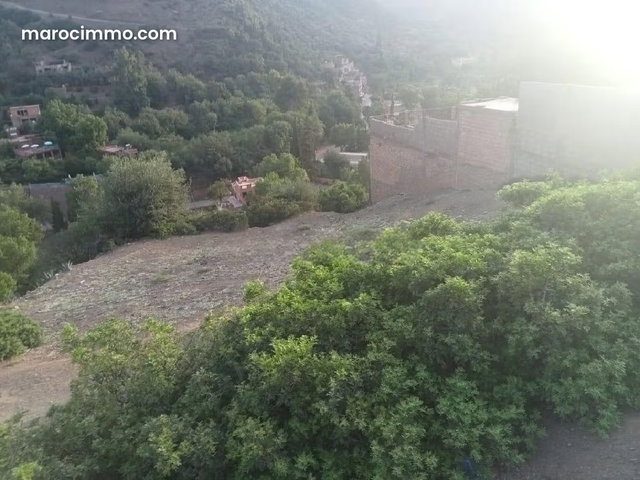 Terrain Titré 535m² constructible à AGHBALOU OURIKA — 2