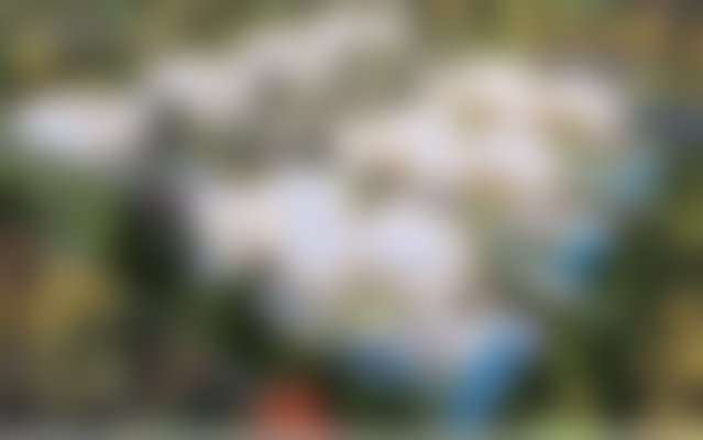 1,000 m² Villa on 1 Hectare, Ourika Road, Marrakech — 3
