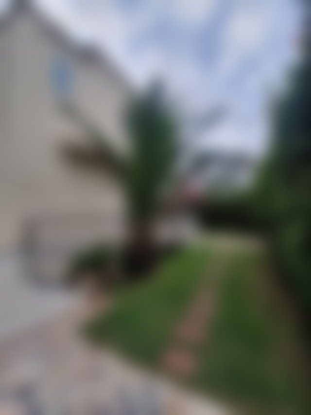 Villa 500 m² avec jardin à louer, C.I.L, Casablanca — 3