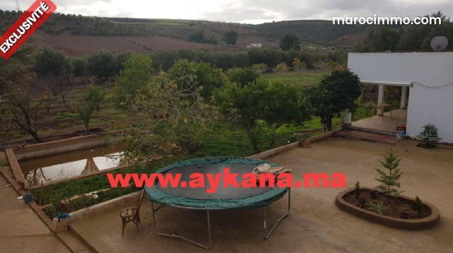 Vente Ferme Tiflet — Tifelt