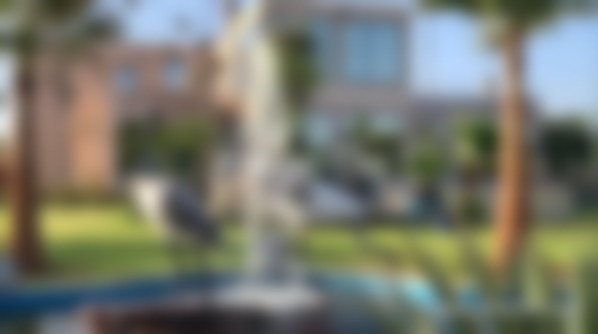 Villa 1300 m² sur 8000 m² de parc arboré, Palmeraie Marrakech