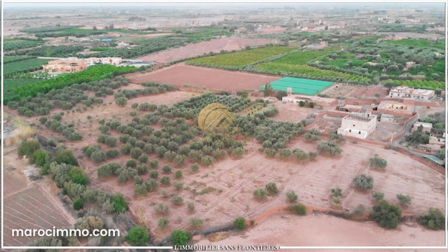 Ferme à vendre à Route de Fès, Marrakech — Titre foncier — 4 ha 2 410 m² — 3