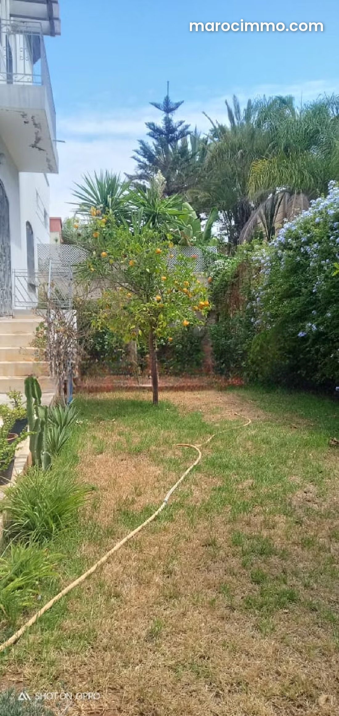 660 m² Apartment for Sale in Sidi Maarouf, Casablanca — Casablanca