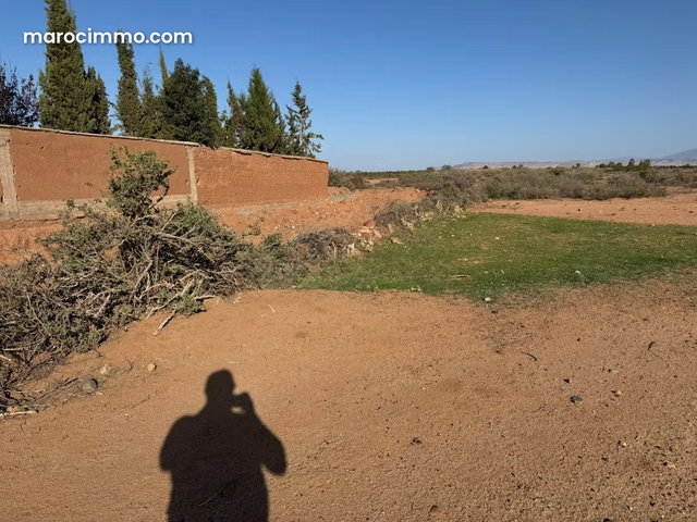 Terrain titre d’1hectare — 4