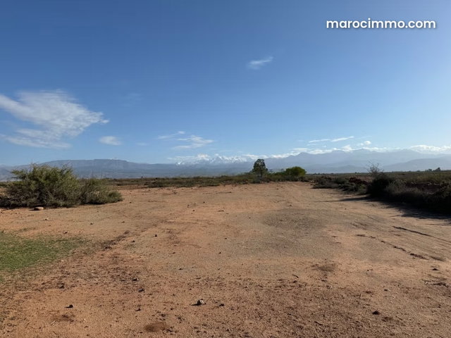 Terrain titre d’1hectare — 2