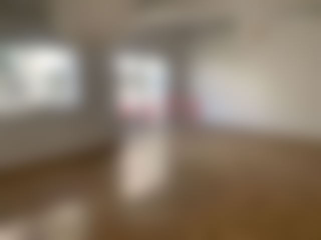 173 sqm Apartment in Racine, Casablanca – Quiet and Well Located — Casablanca