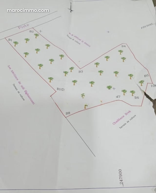 Terrain titrée km13 rte amezmiz — Marrakech