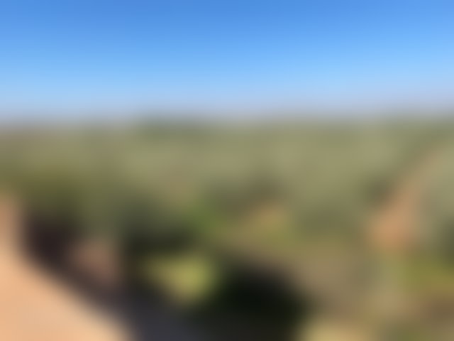ضيعة 3.1 هكتار مع فيلا راقية في قلب آيت أورير — 5