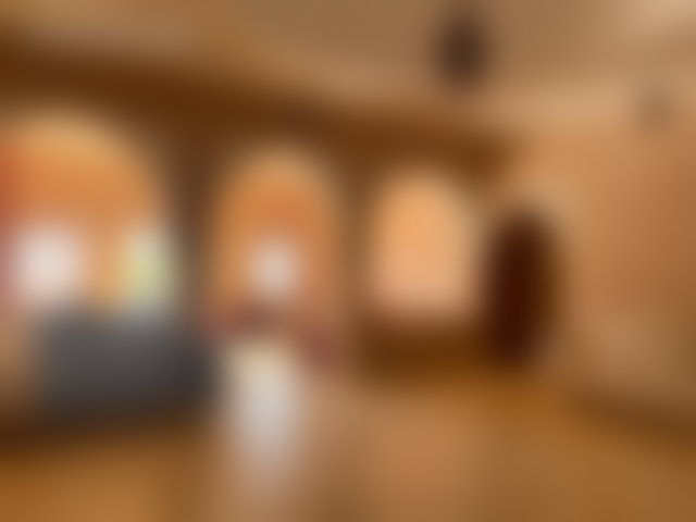 ضيعة 3.1 هكتار مع فيلا راقية في قلب آيت أورير — 4