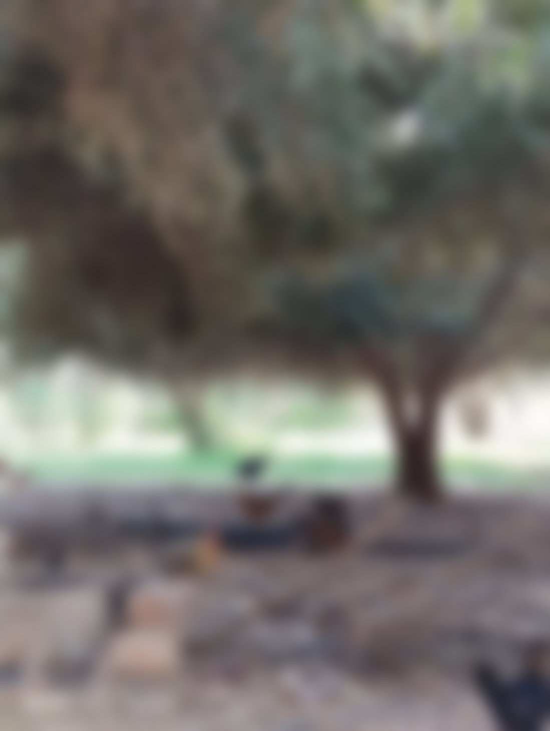أرض استثمارية على طريق فاس بمراكش