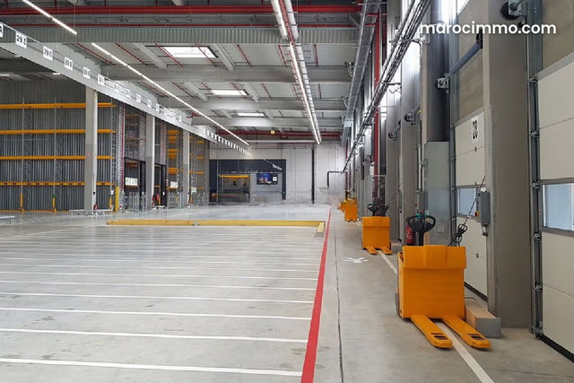 ENTREPOT DE STOCKAGE 5000 m² à l'air libre — 3