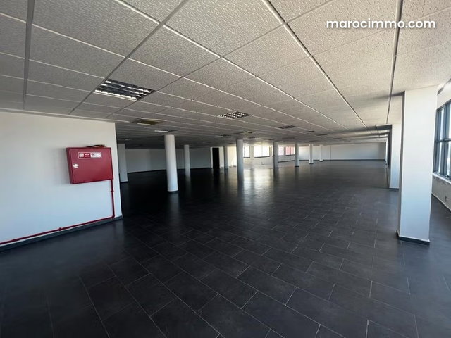 Plateau de bureau SAPINO neuf 2400m2 sur 3 niveaux — 2