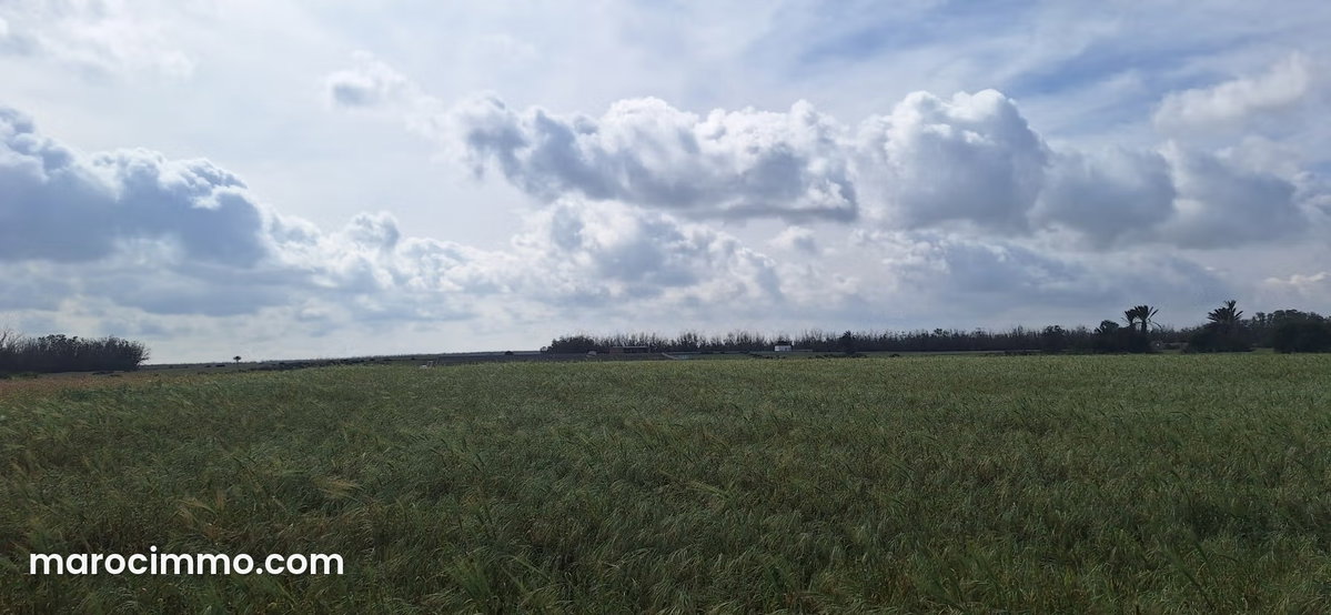 Terrain agricole à vendre à Bouskoura pour Bessa, 500 dirhams le mètre