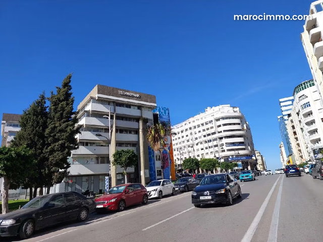 Terrain titré 5000 m2 en Vente à Nejma — 3