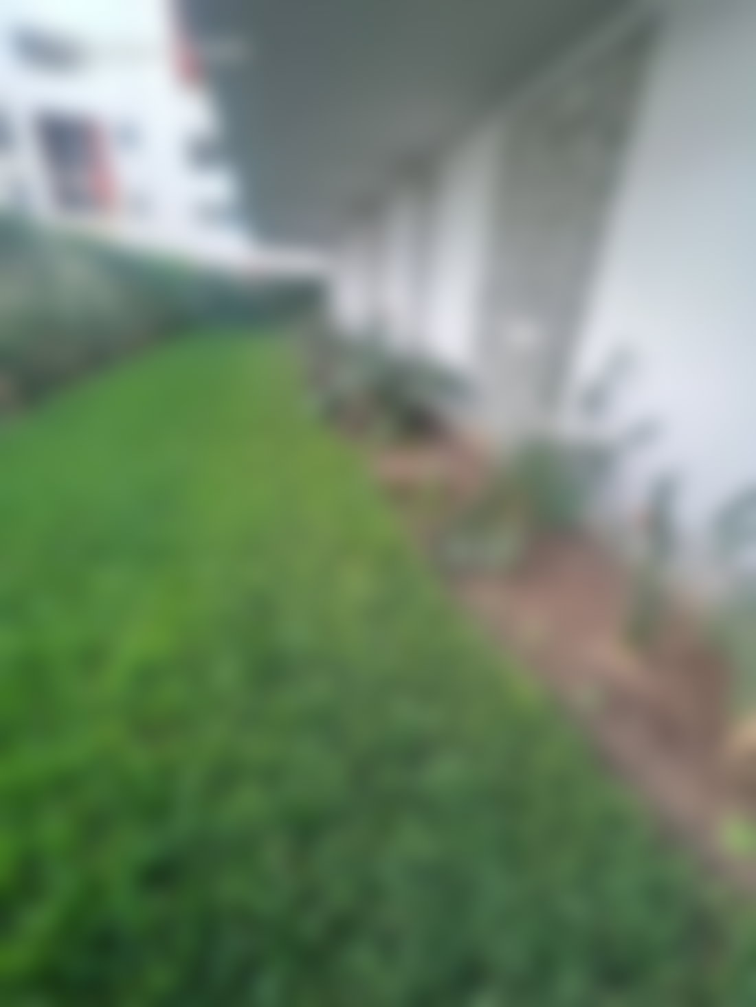 Rez, de, jardin 360 m², Casablanca Finance City, quatre chambres
