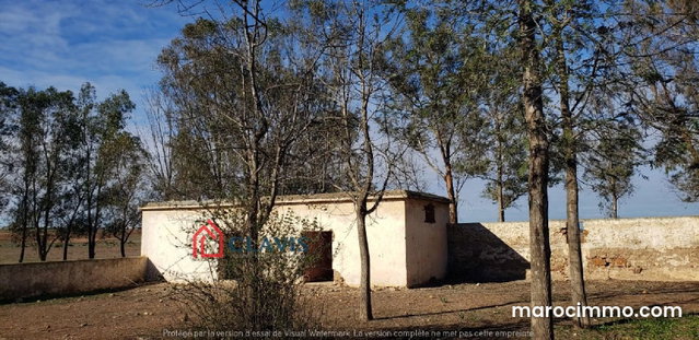 Ferme à 45 mn de Casablanca — 4