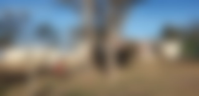 Ferme agricole de 5 ha, électrifiée et titrée, Bir Jdid — 3
