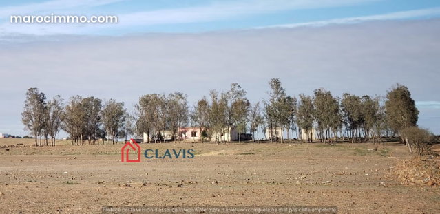 Ferme à 45 mn de Casablanca — 2