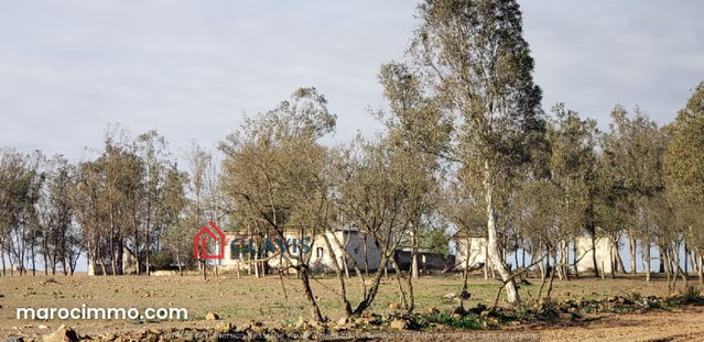 Ferme à 45 mn de Casablanca — 5