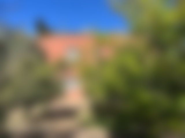 2-Hectare Farm on Ourika Road, Marrakech, for Sale — 5