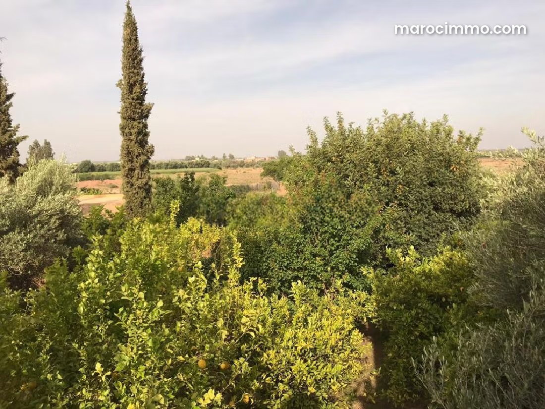 Terrain agricole 1,5 ha Route de Fès, Marrakech — Marrakech