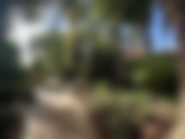 Villa 800 m² sur 1 hectare, Palmeraie, Marrakech — 2