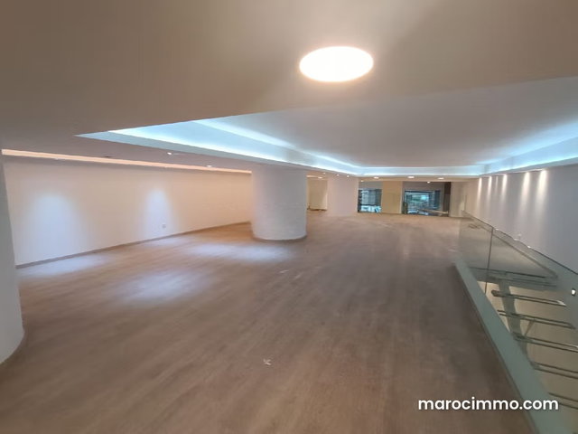 Premium Commercial Space for Rent in Triangle D’or — 3