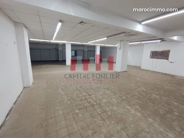 Local commercial de 1040m2 à la location Coté hôpital 20 Aout — 3