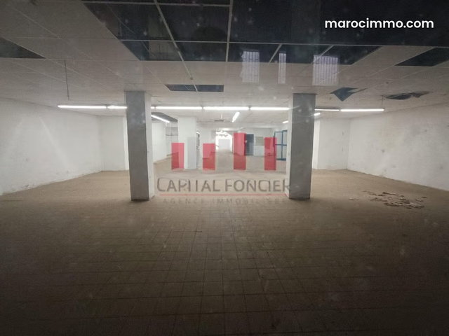 Local commercial de 1040m2 à la location Coté hôpital 20 Aout — 5
