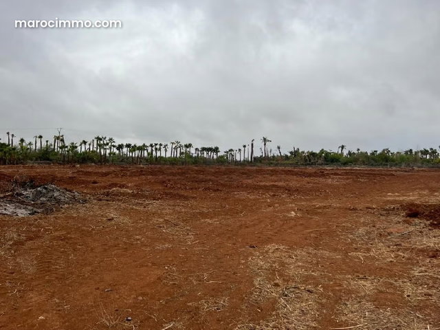 Bonne affaire Rte d'OURIK km25 à 1.850. 000 DH/Ha seulement — 3