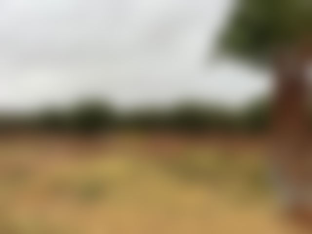 6-Hectare Plot on the Ourika Road, Marrakech – High Potential — Marrakesh