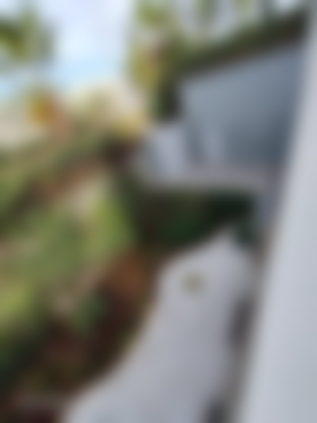 Villa 400 m² avec piscine et jardin, Les Princesses, Casablanca — 2