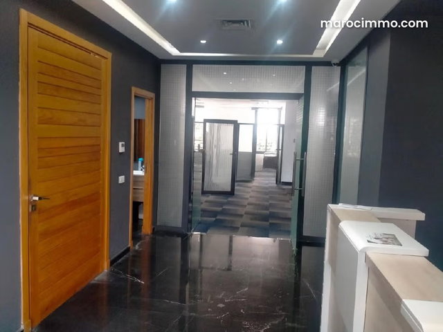 Villa à usage professionnel à vendre 450 M² — 4