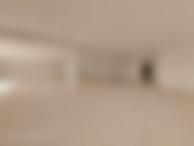 Local commercial 350 m², Zone Industrielle, Casablanca — 2