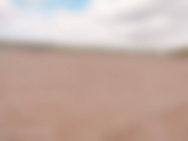 أرض 14000 م² للبيع بسيدي عبد الله غياث — 5
