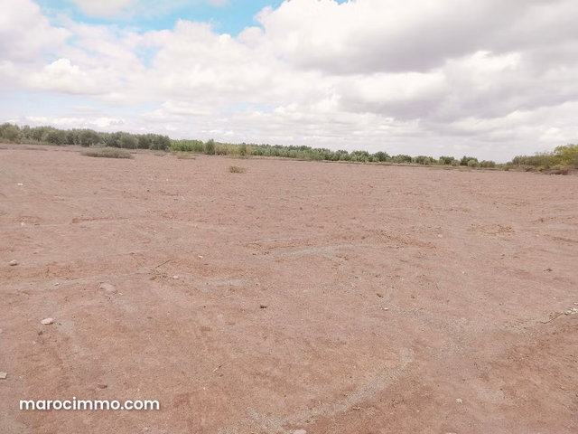 Vente de terrain à Sidi Abdallah Ghiat. Superficie 14000 m². — 5