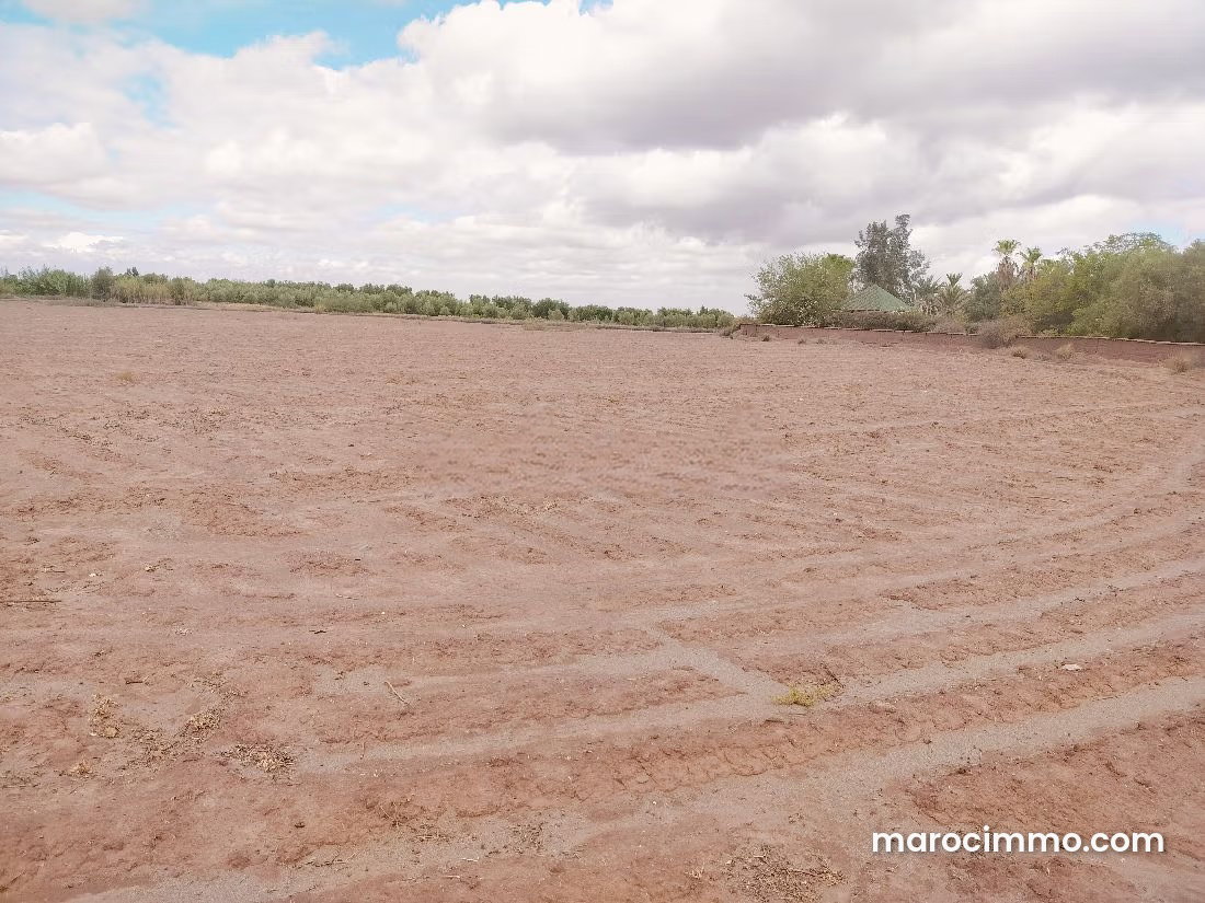 Terrain de 14 000 m² à vendre à Sidi Abdallah Ghiat — Sidi Abdallah Ghiat