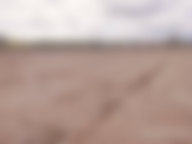 أرض 14000 م² للبيع بسيدي عبد الله غياث — 4